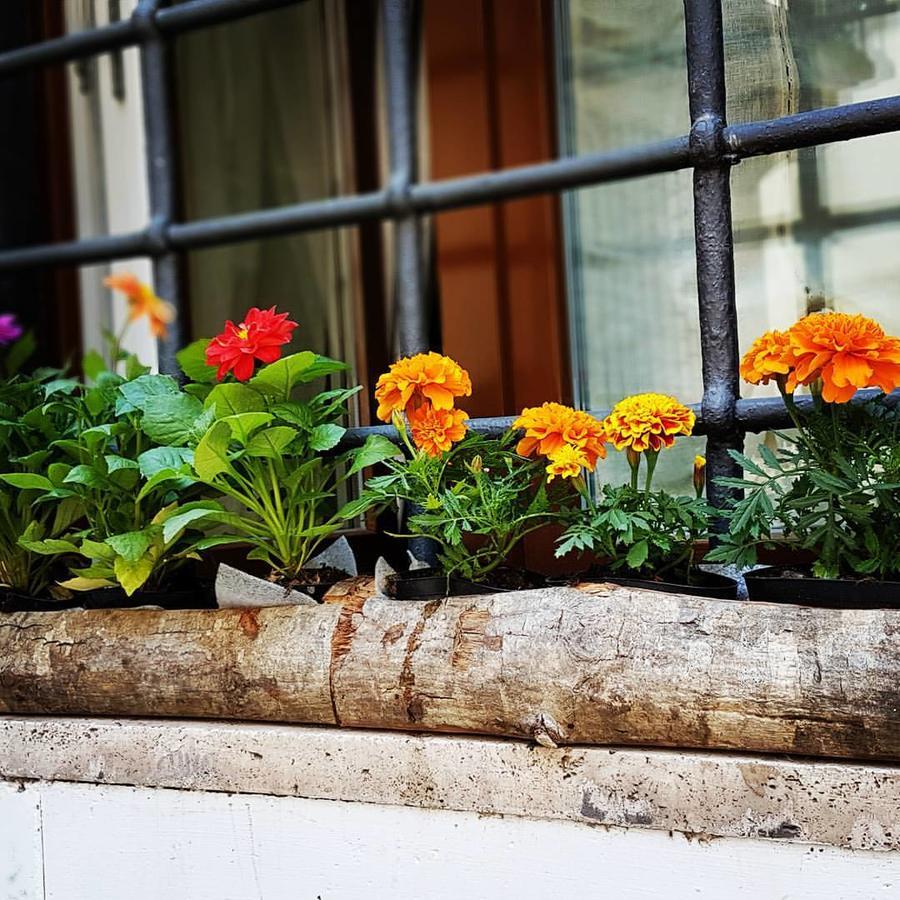 Navona Sweet Home Roma Exterior foto